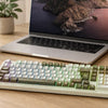 Best Mechanical Keyboard for Mac? Check Compatibility Before Switches