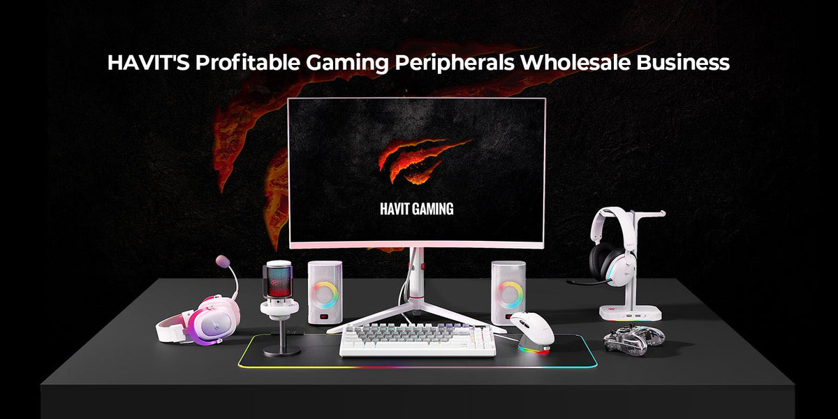 HAVIT Gaming Wholesale: High-Profit Regional Distributor Partner ...