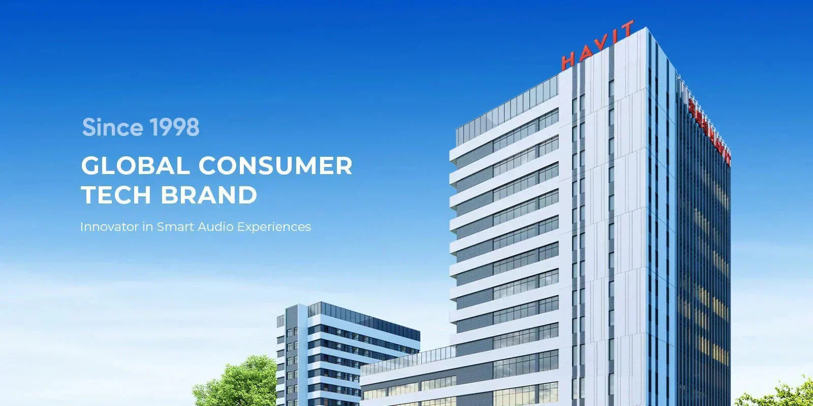 Perfil da marca HAVIT