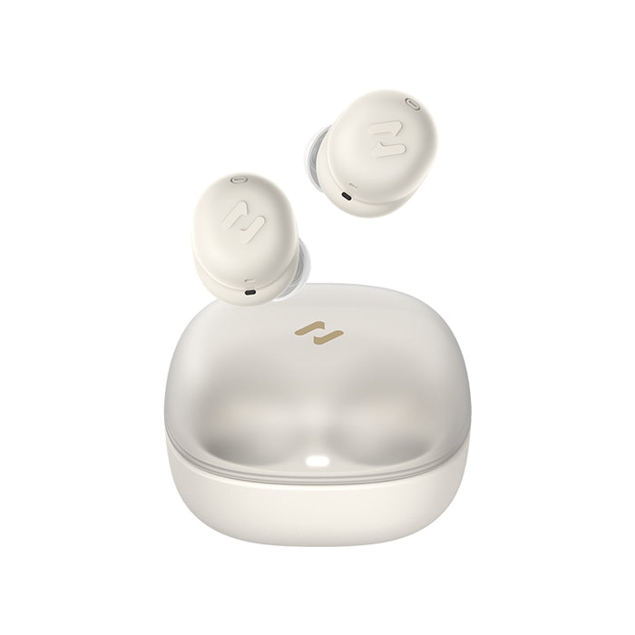 TW969 True Wireless Stereo Earbuds with Charging Case