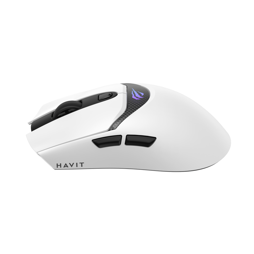 HAVIT Tri-Mode Gaming Mouse HOUYI-M4 Pro