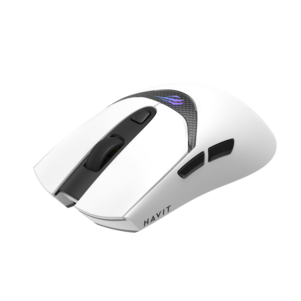 HAVIT Tri-Mode Gaming Mouse HOUYI-M4 Pro