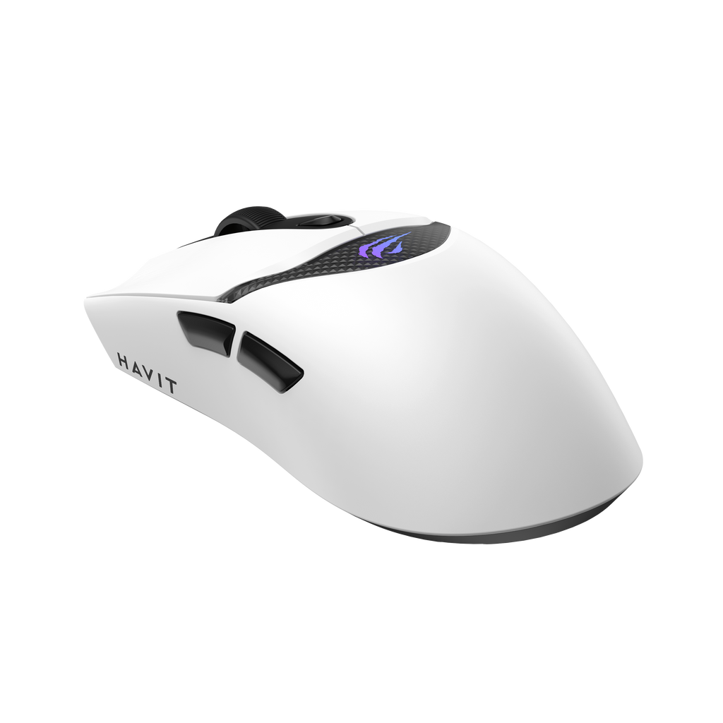 HAVIT Tri-Mode Gaming Mouse HOUYI-M4 Pro