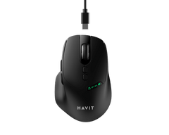 HAVIT Mouse Sem Fio de Modo Duplo MS601WB