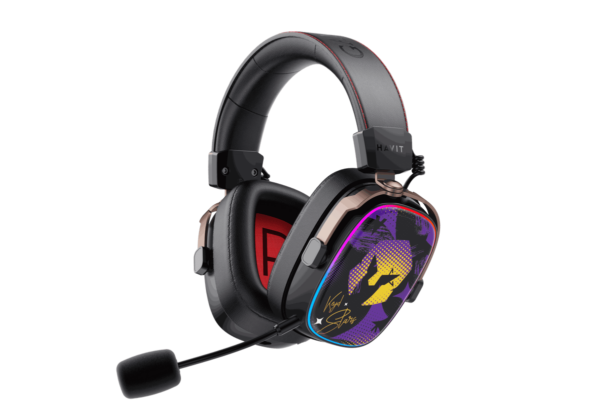 H2039BG — Lag-Free Gaming Headphones | HAVIT — HAVIT Business