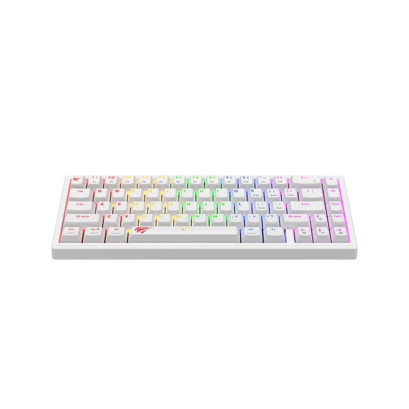 HAVIT Gaming Mechanical Keyboard KB874L