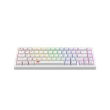 HAVIT Gaming Mechanical Keyboard KB874L
