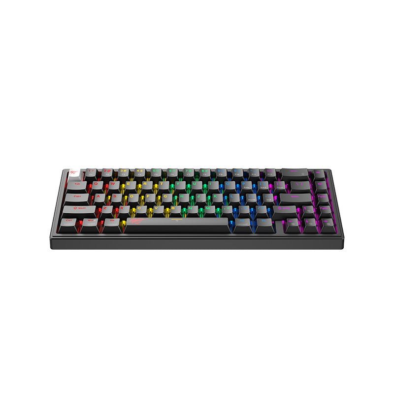 HAVIT Gaming Mechanical Keyboard KB874L