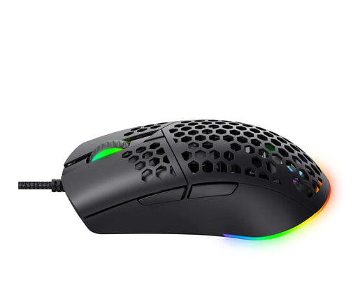 HAVIT Gaming Mouse MS1036 with RGB backlit and programmable buttons.
