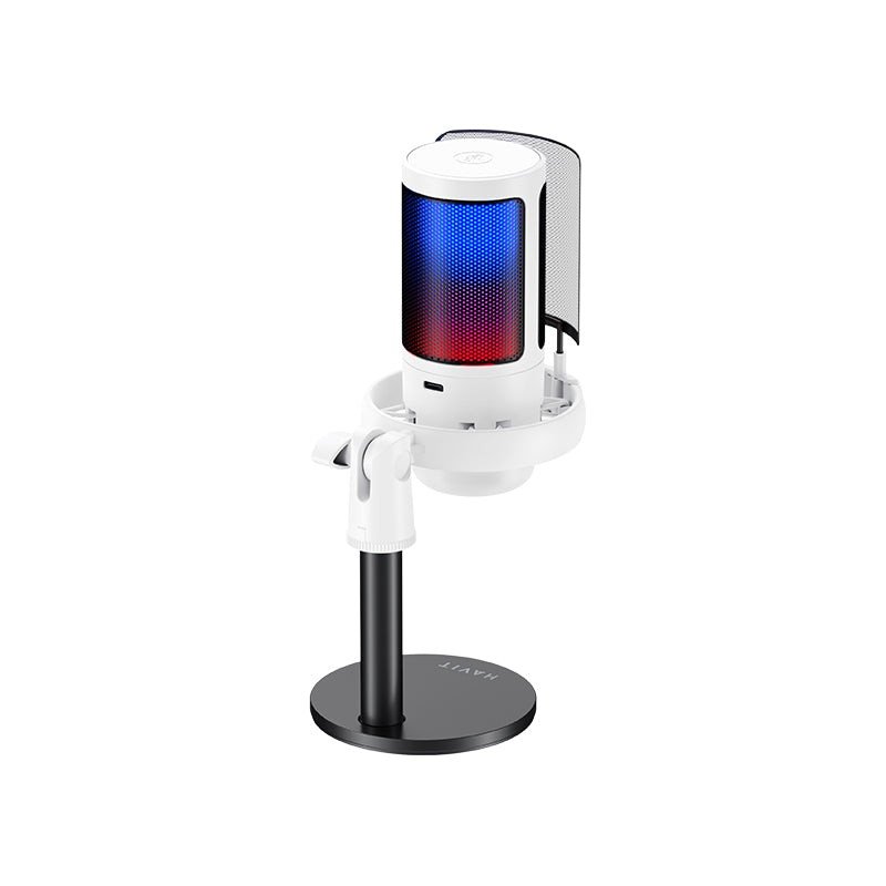 HAVIT Recording Microphone GK50 with LED light on adjustable stand for live recording