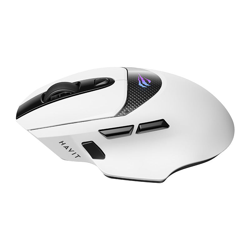 HAVIT Tri-Mode Gaming Mouse HOUY-M2 Pro