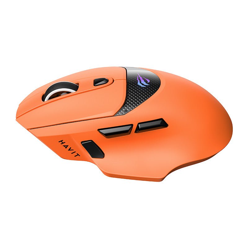 HAVIT Tri-Mode Gaming Mouse HOUY-M2 Pro