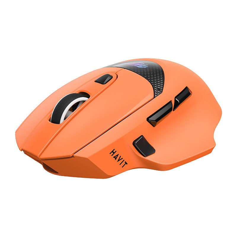 HAVIT Tri-Mode Gaming Mouse HOUY-M2 Pro