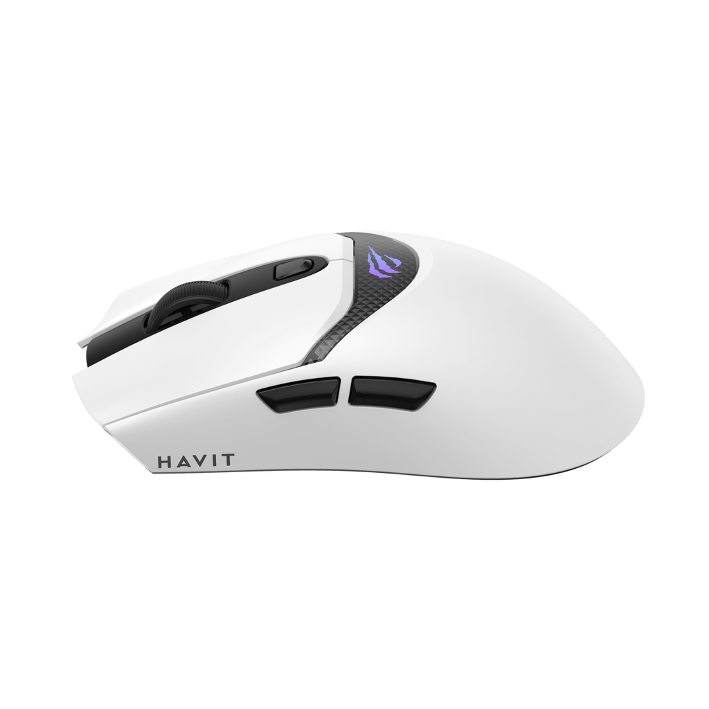 HAVIT Tri-Mode Gaming Mouse HOUYI-M4 Pro
