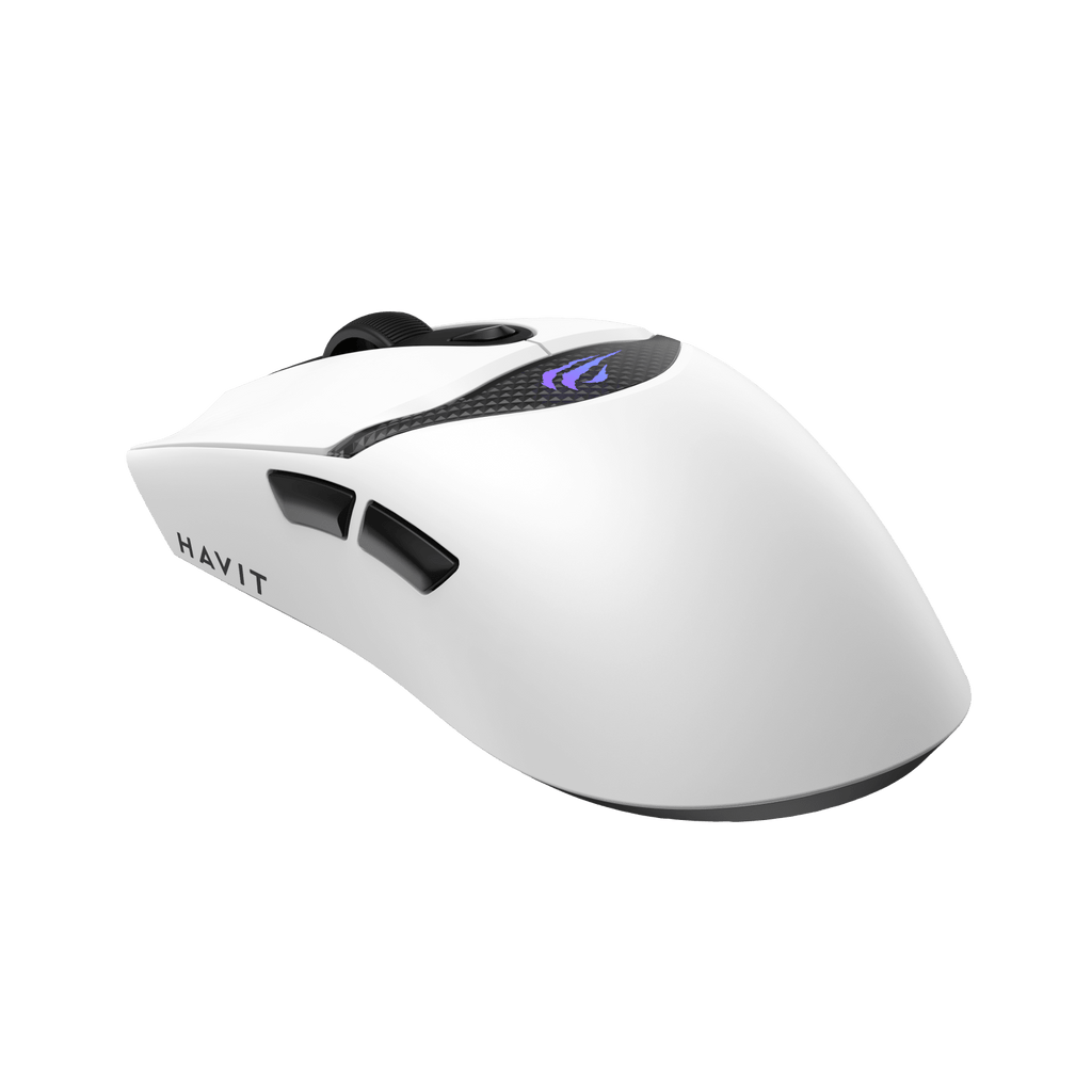 HAVIT Tri-Mode Gaming Mouse HOUYI-M4 Pro