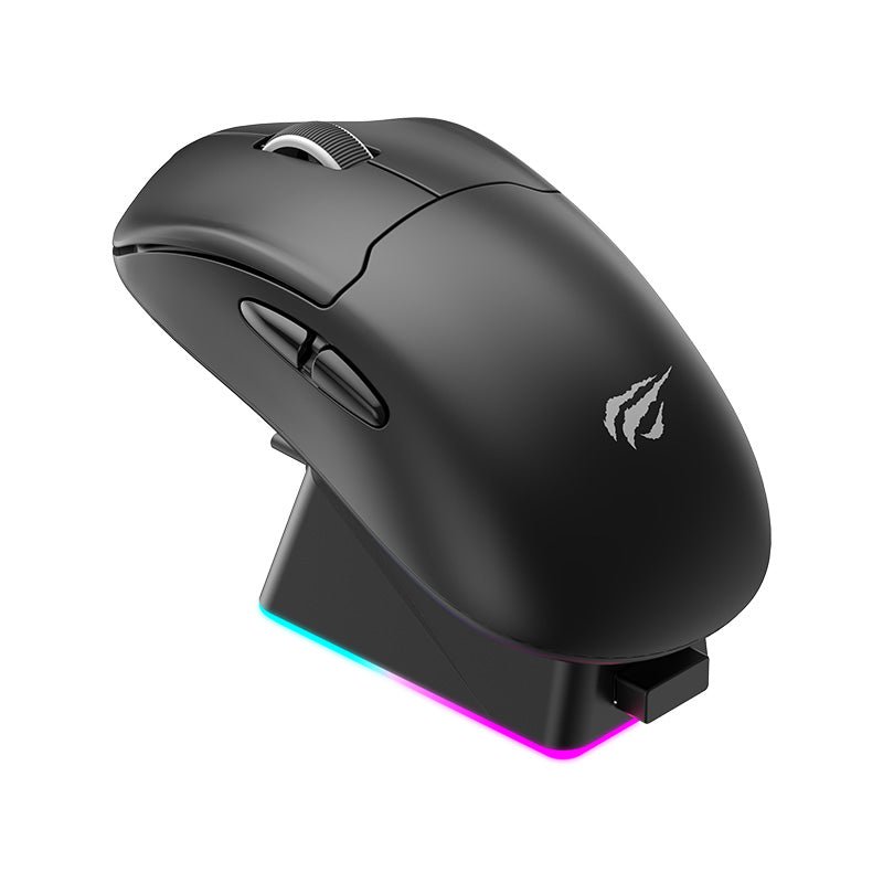 HAVIT Tri-Mode Gaming-Maus mit RGB-Ladestation MS979WB